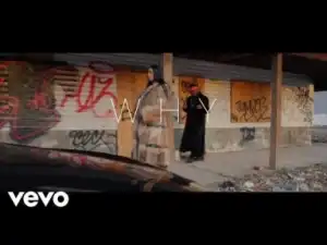 Video: Troy Ave - Wry